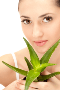 Aloe recipe from the first wrinkles